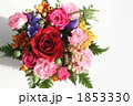 誕生日の花かご 1853330