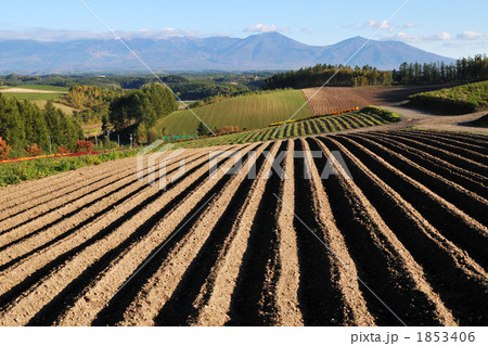 四季彩の丘 1853406