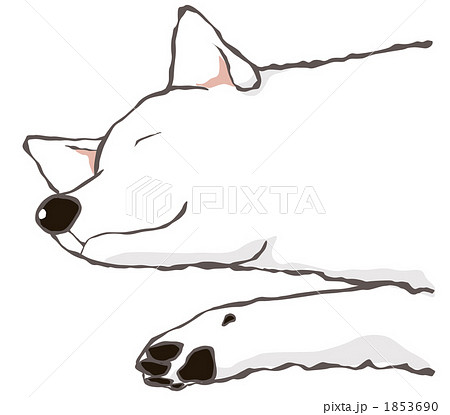 笑い寝の白犬のイラスト素材