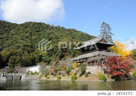 錦帯橋の秋 1854255