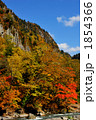 天人峡七福岩の紅葉 1854366