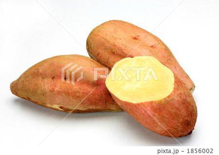 サツマイモ 1856002