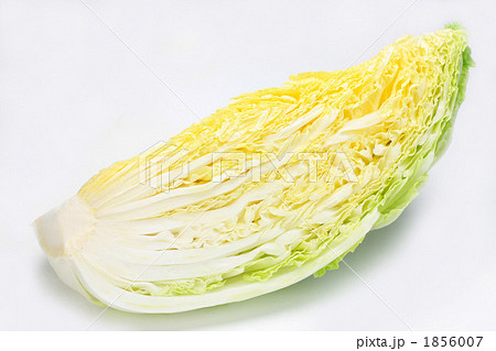 ハクサイ ハクサイ 1856007