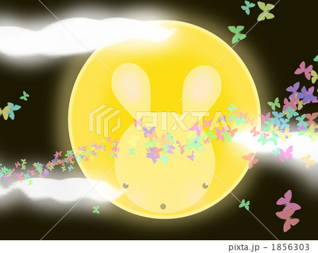 月のうさぎ 1856303