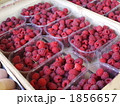 市場のフランボワーズ 1856657