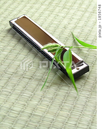 和室・畳の上のハーモニカ【趣味イメージ】【アップ・コピースペース】（縦） 1856748