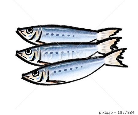 魚類 魚介類 節分のイラスト素材