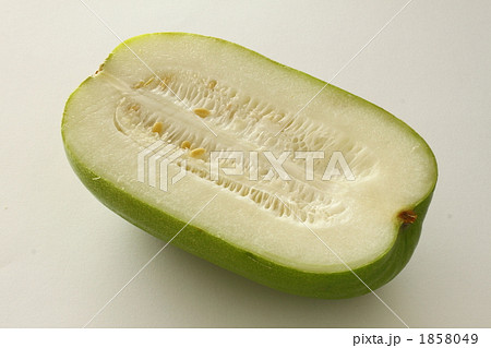 冬瓜 1858049