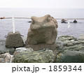 夫婦岩のカエル 1859344