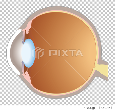 Eyeball 1 1859861