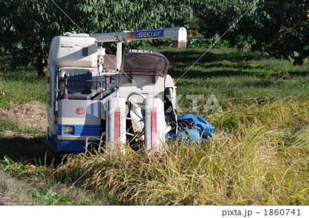 コンバインと水田 1860741