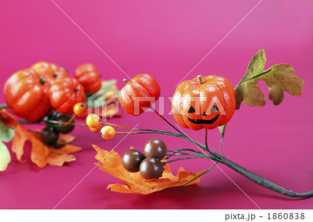 オバケ南瓜 1860838