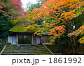 秋　紅葉の法然院 1861992
