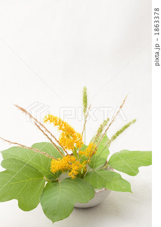 雑草アレンジメント　2010年　秋 1863378