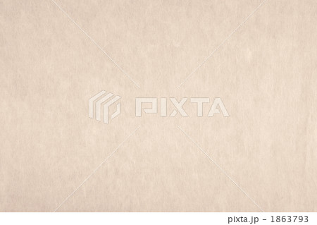 「シェルピンク 」日本の伝統色シリーズ 和紙 楮 N-706　 1863793