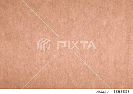 「肉色 にくいろ」日本の伝統色シリーズ 和紙 楮 N-711 「肉色 にくいろ」日本の伝統色シリーズ 和紙 楮 N-711 1863833