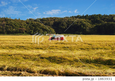 広大な田んぼで稲刈り 1863931