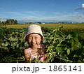 枝豆採れた１ 1865141