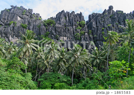 連なる奇岩の山と椰子の木の林 1865583