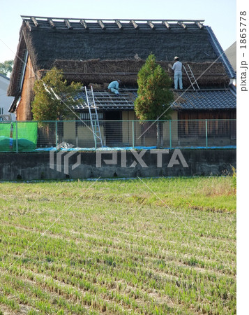 茅葺き葺き替え風景（縦） 1865778