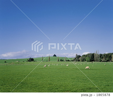 緑の牧場 1865878