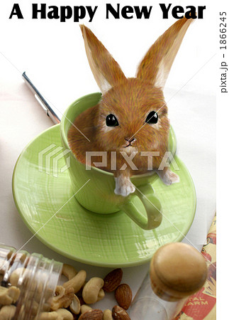 年賀状2011年 うさぎ 年賀状2011年 うさぎ 1866245