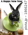 年賀状2011年 うさぎ 1866247
