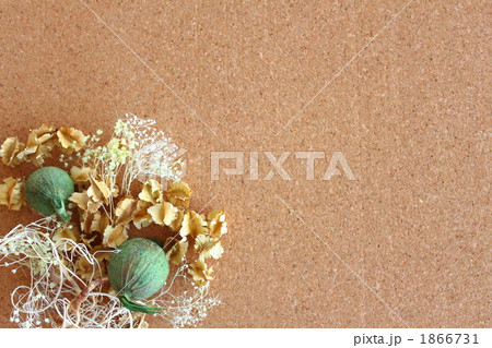 ドライフラワー　コルクボード　コピースペース 1866731