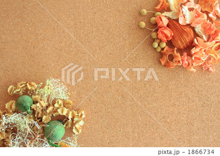 ドライフラワー　コルクボード　コピースペース 1866734