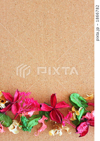 ドライフラワー　コルクボード　コピースペース 1866782