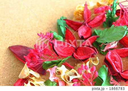 ドライフラワー　コルクボード　コピースペース 1866783