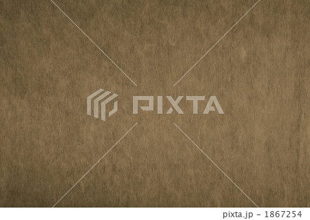 「朽葉色 くちばいろ」日本の伝統色シリーズ 和紙 楮 N-775 「朽葉色 くちばいろ」日本の伝統色シリーズ 和紙 楮 N-775 1867254