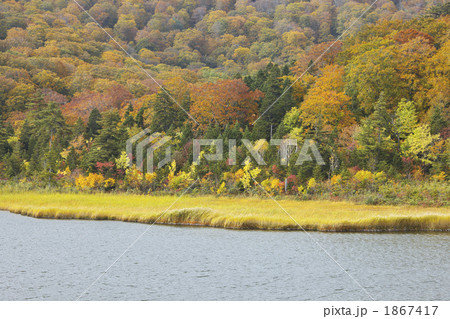 秋田 八幡平 大沼の紅葉 秋田 八幡平 大沼の紅葉 1867417