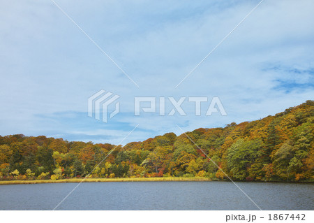 秋田 八幡平 大沼の紅葉 秋田 八幡平 大沼の紅葉 1867442