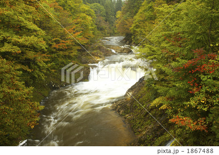 青森　下北　川内川渓谷 1867488