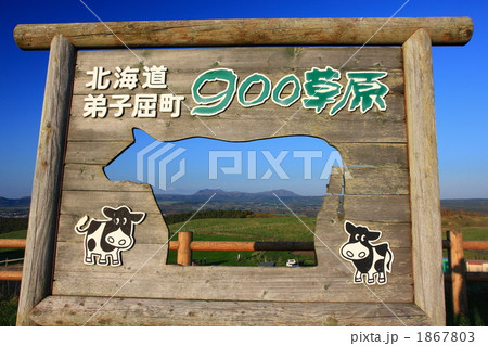 900草原 900草原 1867803