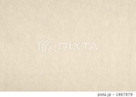 「薄香色　うすこういろ」日本の伝統色シリーズ 和紙 楮 N-780 1867879