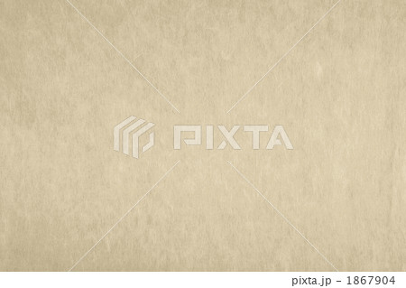 「ベージュ」日本の伝統色シリーズ 和紙 楮 N-784 1867904