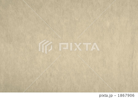 「白茶　しらちゃ」日本の伝統色シリーズ 和紙 楮 N-785 1867906