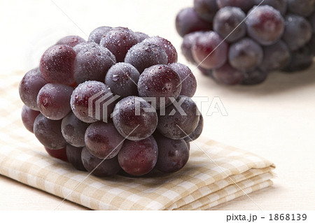 ピオーネ 1868139