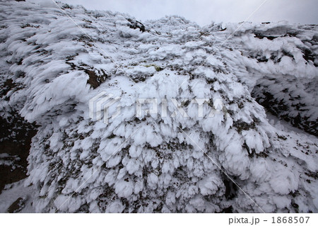 美瑛岳に出来た海老の尻尾 1868507