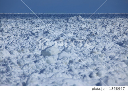 広大な流氷原 1868947