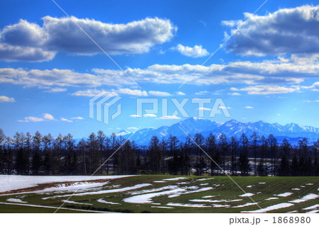 残雪の丘と芦別岳 1868980