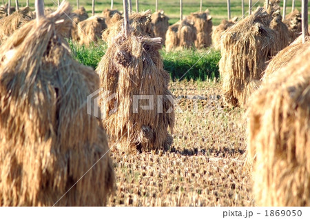 積み藁のある風景 積み藁のある風景 1869050