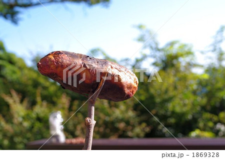 焼き芋 焼き芋 1869328