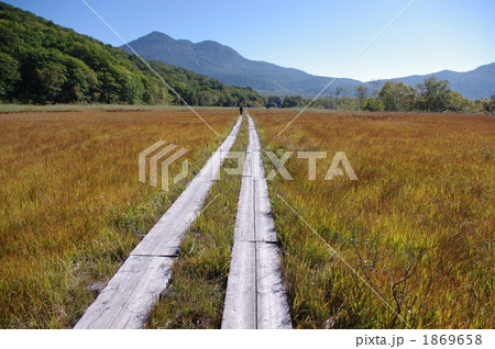 秋の尾瀬と草もみじ 1869658