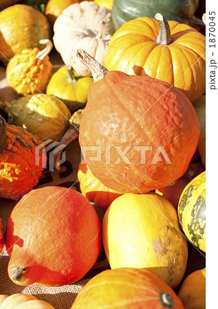 おもちゃカボチャ 1870045