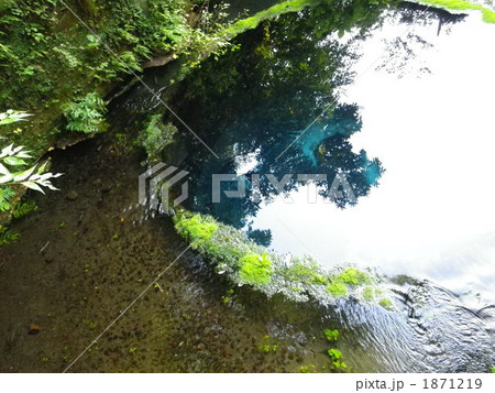 柿田川湧水群 1871219