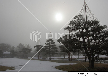 冬の鶴ヶ城公園 雪吊りの様子 冬の鶴ヶ城公園 雪吊りの様子 1873026