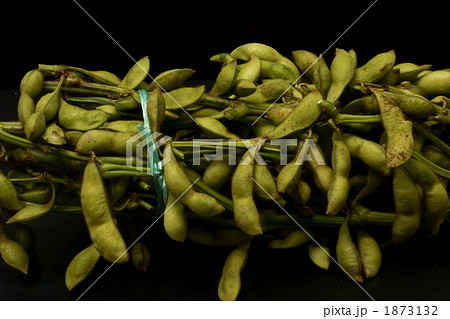 丹波ささやま黒大豆の枝豆 丹波ささやま黒大豆の枝豆 1873132